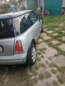 Miniatura zdjęcia