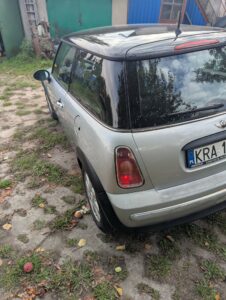 Miniatura zdjęcia